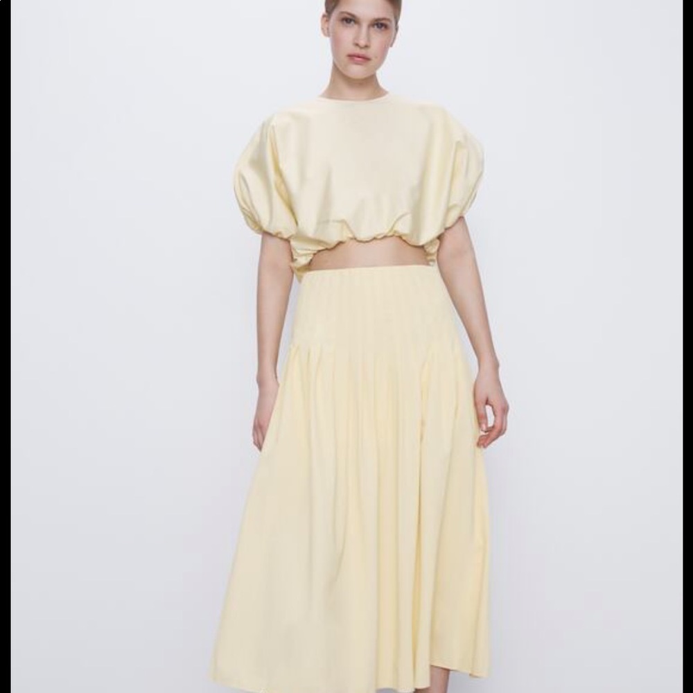 NWT Zara high waisted pleated maxi skirt